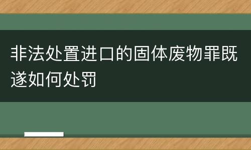 非法处置进口的固体废物罪既遂如何处罚