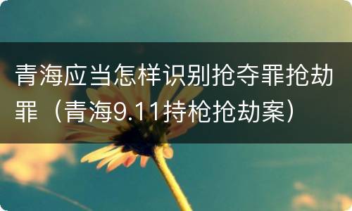 青海应当怎样识别抢夺罪抢劫罪（青海9.11持枪抢劫案）
