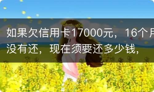 如果欠信用卡17000元，16个月没有还，现在须要还多少钱，