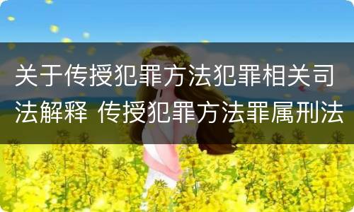 关于传授犯罪方法犯罪相关司法解释 传授犯罪方法罪属刑法规定的