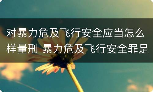 对暴力危及飞行安全应当怎么样量刑 暴力危及飞行安全罪是危险犯吗