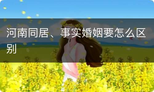河南同居、事实婚姻要怎么区别