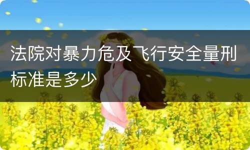 法院对暴力危及飞行安全量刑标准是多少
