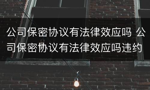 公司保密协议有法律效应吗 公司保密协议有法律效应吗违约100万