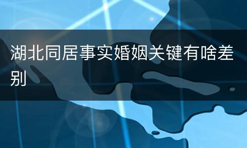湖北同居事实婚姻关键有啥差别