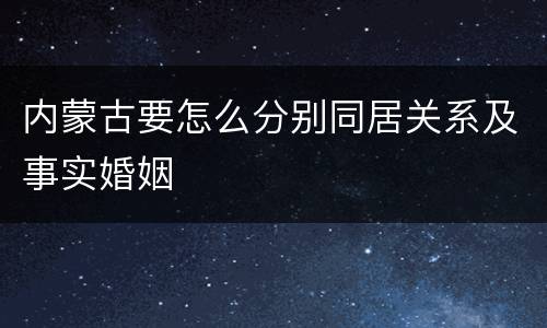 内蒙古要怎么分别同居关系及事实婚姻