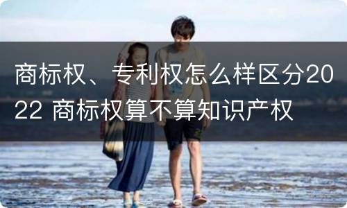 商标权、专利权怎么样区分2022 商标权算不算知识产权