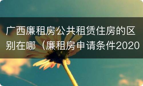 广西廉租房公共租赁住房的区别在哪（廉租房申请条件2020广西）