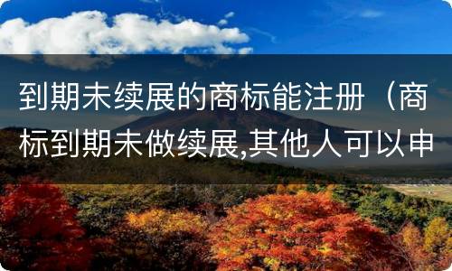 到期未续展的商标能注册（商标到期未做续展,其他人可以申请吗）