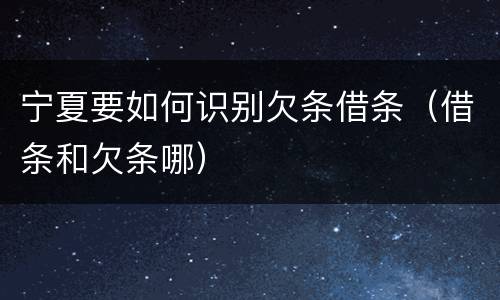 宁夏要如何识别欠条借条（借条和欠条哪）