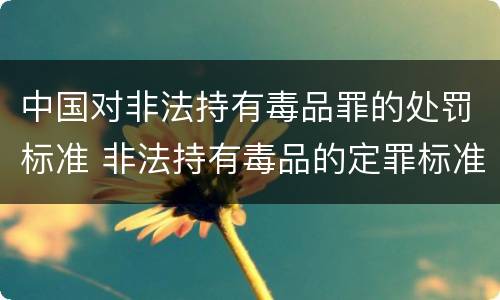 中国对非法持有毒品罪的处罚标准 非法持有毒品的定罪标准