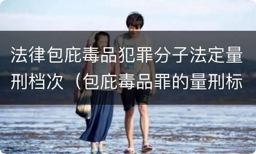 法律包庇毒品犯罪分子法定量刑档次（包庇毒品罪的量刑标准）