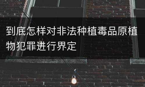 到底怎样对非法种植毒品原植物犯罪进行界定