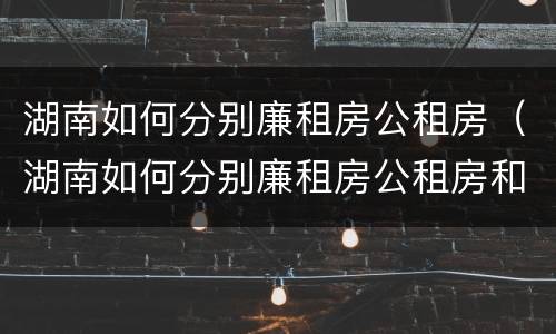 湖南如何分别廉租房公租房（湖南如何分别廉租房公租房和私租房）