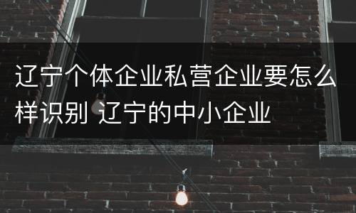 辽宁个体企业私营企业要怎么样识别 辽宁的中小企业