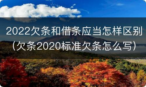 2022欠条和借条应当怎样区别（欠条2020标准欠条怎么写）