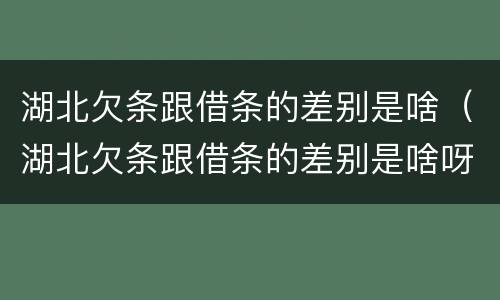 湖北欠条跟借条的差别是啥（湖北欠条跟借条的差别是啥呀）