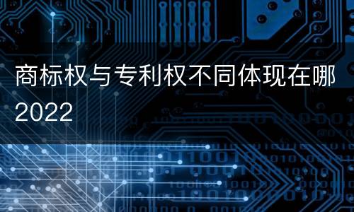 商标权与专利权不同体现在哪2022