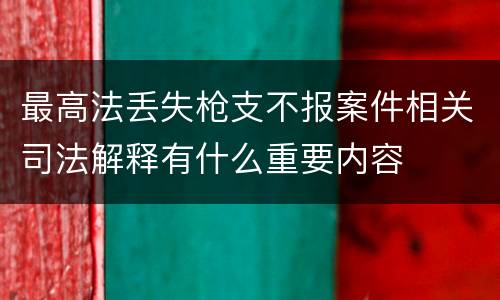 最高法丢失枪支不报案件相关司法解释有什么重要内容