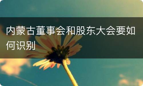 内蒙古董事会和股东大会要如何识别