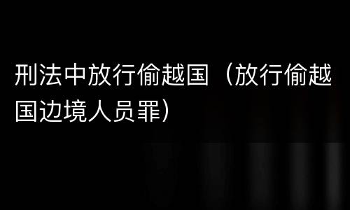 刑法中放行偷越国（放行偷越国边境人员罪）