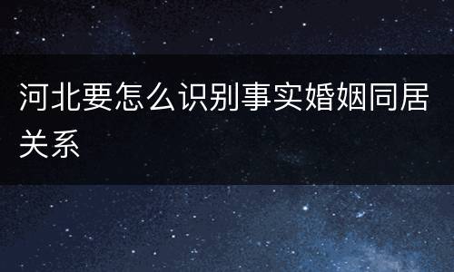 河北要怎么识别事实婚姻同居关系