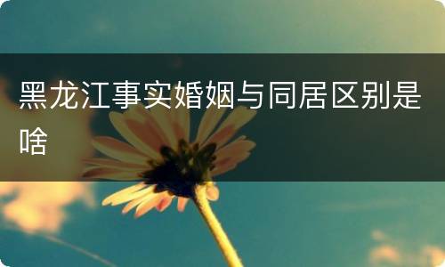 黑龙江事实婚姻与同居区别是啥