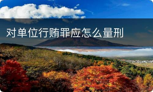 对单位行贿罪应怎么量刑