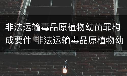 非法运输毒品原植物幼苗罪构成要件 非法运输毒品原植物幼苗罪构成要件是什么