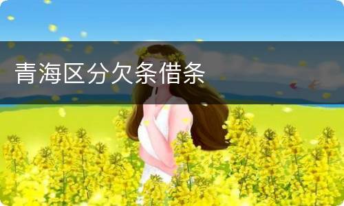 青海区分欠条借条