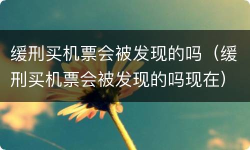 缓刑买机票会被发现的吗（缓刑买机票会被发现的吗现在）