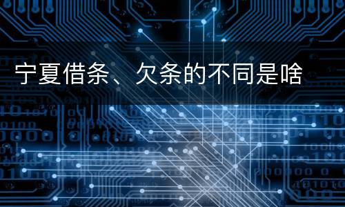 宁夏借条、欠条的不同是啥