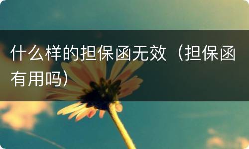 什么样的担保函无效（担保函有用吗）