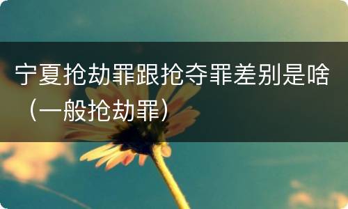 宁夏抢劫罪跟抢夺罪差别是啥（一般抢劫罪）