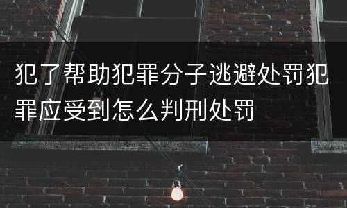 犯了帮助犯罪分子逃避处罚犯罪应受到怎么判刑处罚