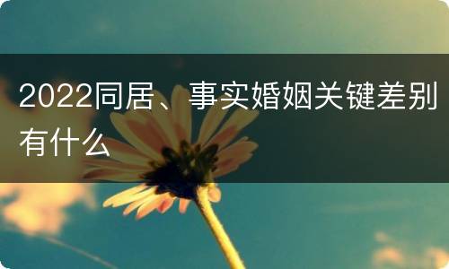 2022同居、事实婚姻关键差别有什么
