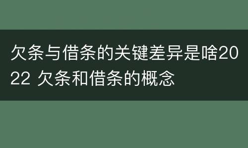 欠条与借条的关键差异是啥2022 欠条和借条的概念