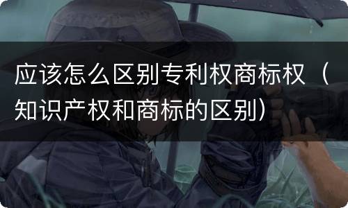 应该怎么区别专利权商标权（知识产权和商标的区别）