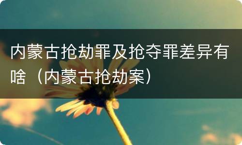 内蒙古抢劫罪及抢夺罪差异有啥（内蒙古抢劫案）