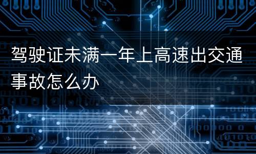 驾驶证未满一年上高速出交通事故怎么办