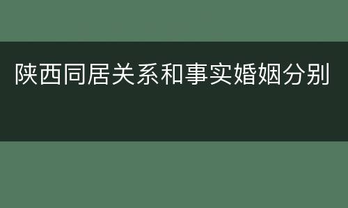 陕西同居关系和事实婚姻分别
