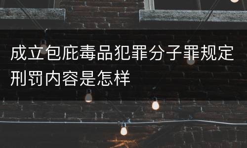 成立包庇毒品犯罪分子罪规定刑罚内容是怎样