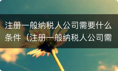 注册一般纳税人公司需要什么条件（注册一般纳税人公司需要什么条件和资质）