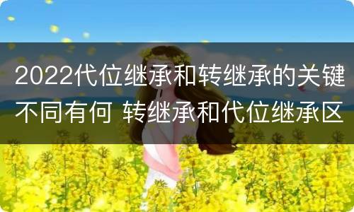 2022代位继承和转继承的关键不同有何 转继承和代位继承区别