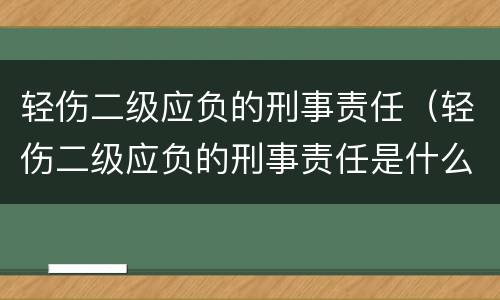 轻伤二级应负的刑事责任（轻伤二级应负的刑事责任是什么）