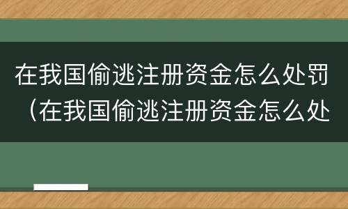 在我国偷逃注册资金怎么处罚（在我国偷逃注册资金怎么处罚的）