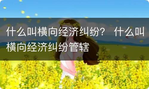 什么叫横向经济纠纷？ 什么叫横向经济纠纷管辖