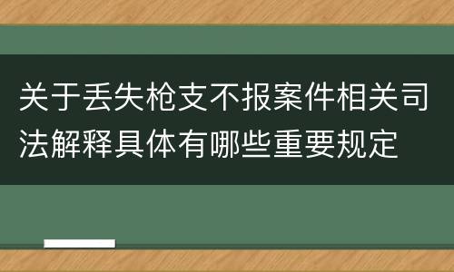关于丢失枪支不报案件相关司法解释具体有哪些重要规定
