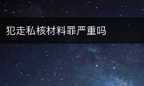 犯走私核材料罪严重吗