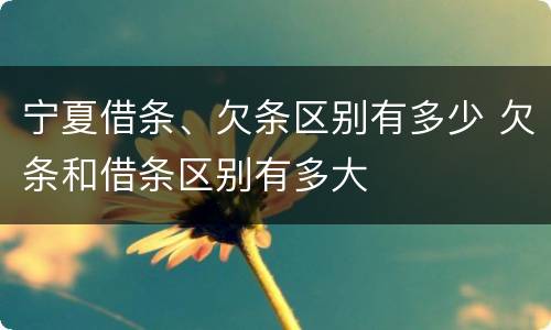 宁夏借条、欠条区别有多少 欠条和借条区别有多大